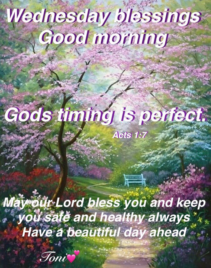 Happy Wednesday patriots🇺🇸 Trust in the Lord with all your heart.(Proverbs 3:5)🙏 🙏May your day be blessed and bright and beautiful💕