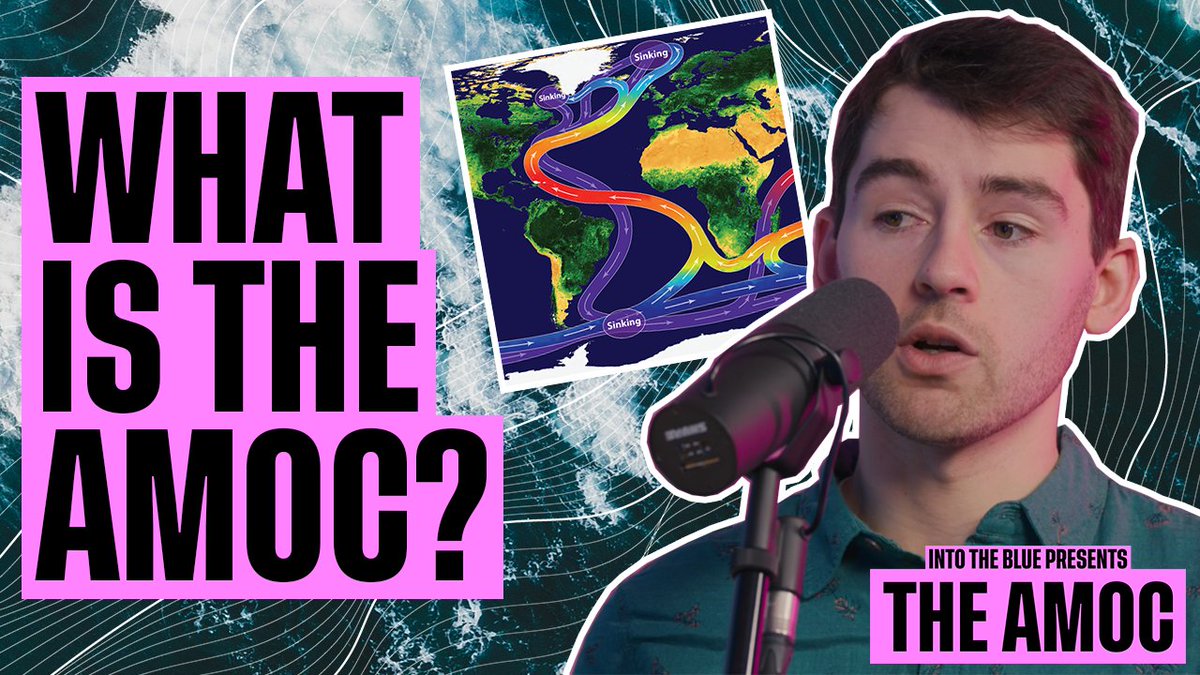 🚨 NEW PODCAST EPISODE 🚨

Listen 🎧 audioboom.com/posts/8501480-…

Watch 📺 youtu.be/qCbL4YUhMqc

@Ollie__Tooth and @ZoeJacobs27 talk about what the Atlantic Meridional Overturning Circulation (#AMOC) is and how crucial it is to the ocean and our climate.

#NOCIntoTheBlue