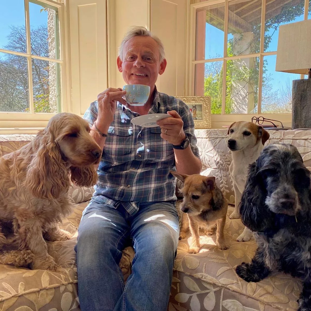 犬好きで知られる英俳優マーティン・クルーンズ氏、すでに4匹の犬がいるのだが、引退する盲導犬ローラのストーリーを聞くやいなや里親を申し出る。ローラは今や氏の可愛いストーカーとなってどこでもついてくるそう。Mail Onlineの写真があまりにも素敵で、ここに貼ります😍