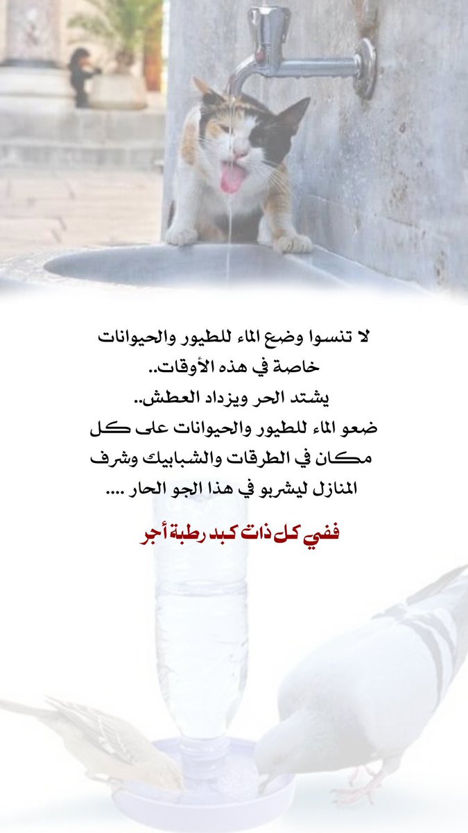 محمدالشهري (@gdbguu) on Twitter photo 