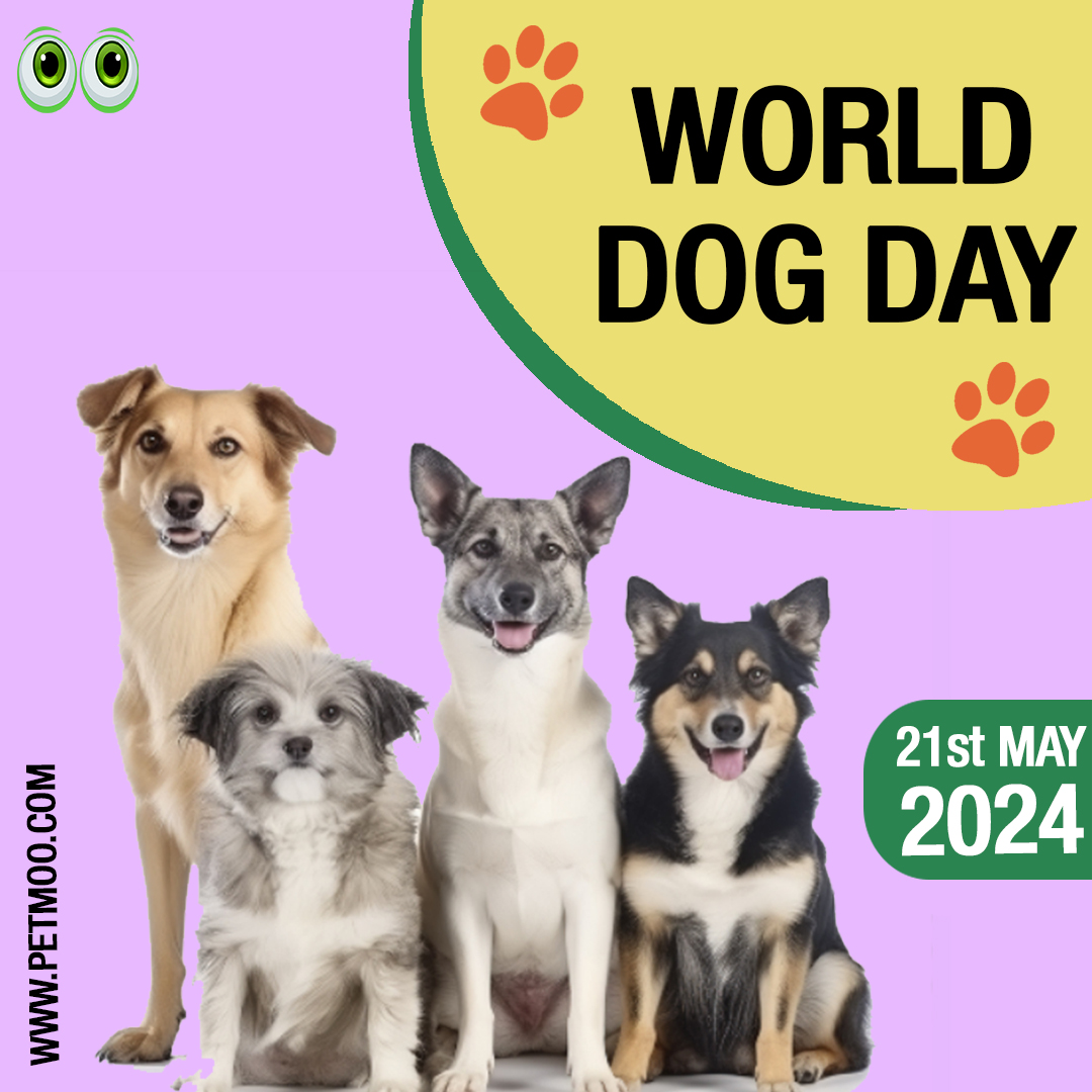 World Dog Day
#petmoo #pets #dogs #dogday #worlddogday #petdays #petday2024