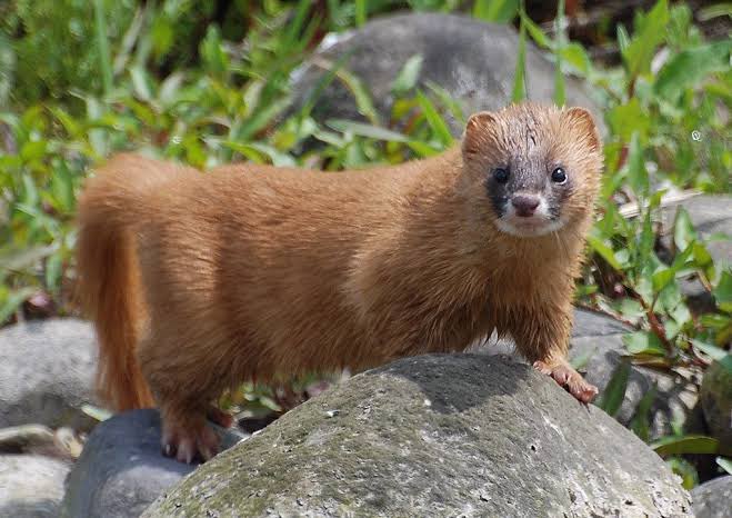 さきっぺ📻なんちゃって東京女子 (@sakippe_na) / Posts / X