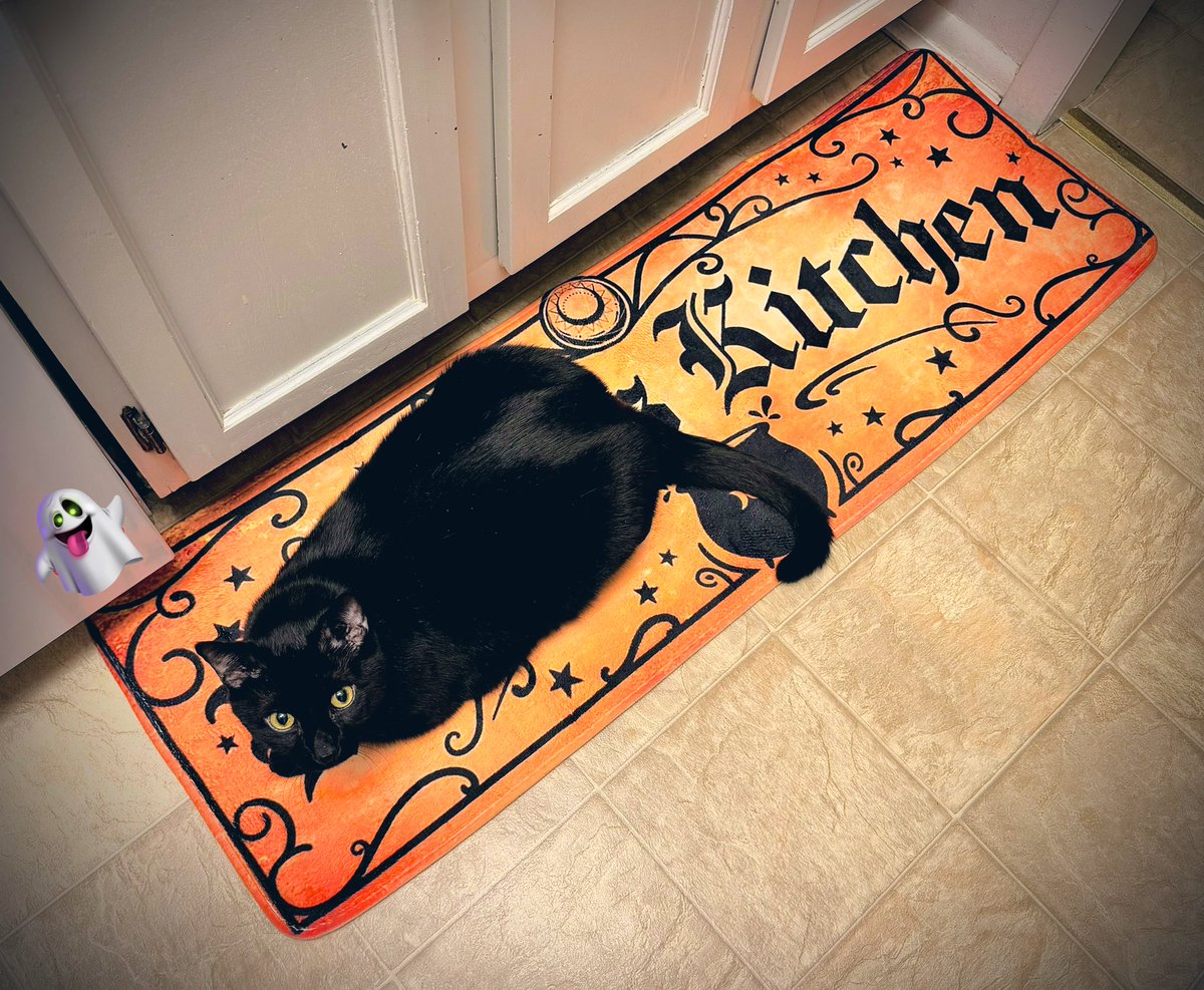 I ordered a tan & black “Witches Kitchen” mat, BUT it turned out to be #orange. Fine by me! I’m now celebrating #Summerween & Binx approves. 🧙🐈‍⬛

#Witchy #WitchyWednesday #Witch #Cat #Cats #BlackCat #BlackCats #Halloween #KitchenWitch

CC: @witchwalk @TimMcCue3 @erincheshirecat