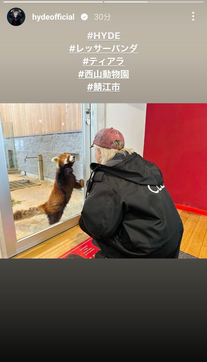 icham_XXX's tweet photo. かわい。 https://t.co/RvEYQhK6RH