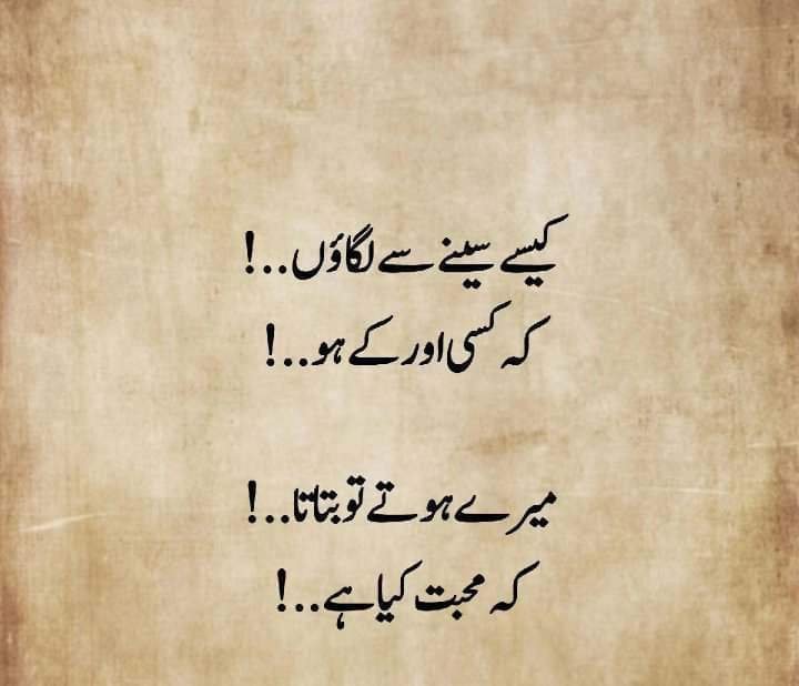 کیسے سینے لگاؤں ۔۔!
کہ کسی اور کے ہے ۔۔!
میرے ہوتے تو بتاتا۔۔!
کہ محبت کیا ہوتی ہے ۔۔!
#اردو_شاعری #اردو_زبان
