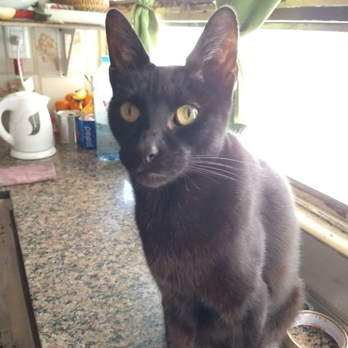 Dani y Dante https://t.co/wWRyDyiGHE<a href="/tag/terceraguerramundial"class="tags"><span>#terceraguerramundial</span></a>