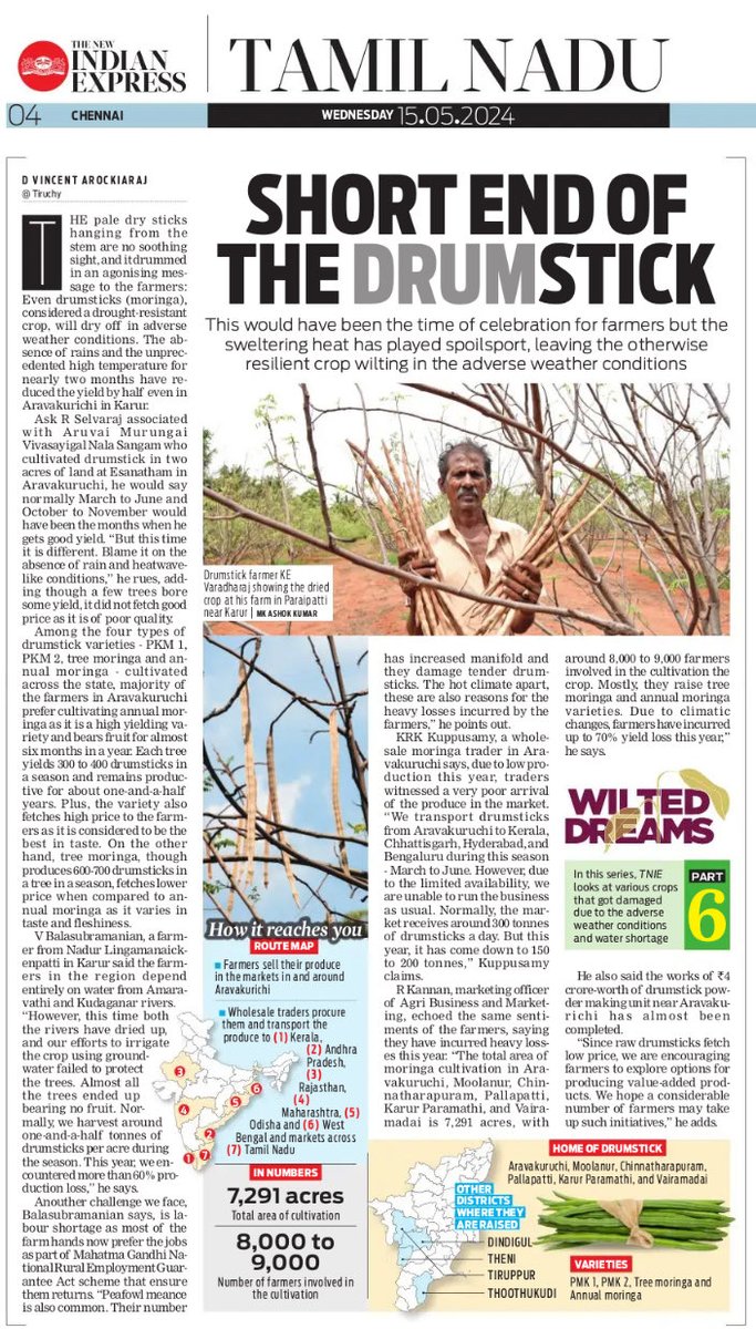 Even the otherwise resilient drumstick crop is wilting in the sweltering heat, bringing farmers to tears. #TNIE takes a close look at their woes, in a series #WiltedDreams ⁦@Vincents_TNIE⁩ ⁦@xpresstn⁩ ⁦@NewIndianXpress⁩ newindianexpress.com/states/tamil-n…