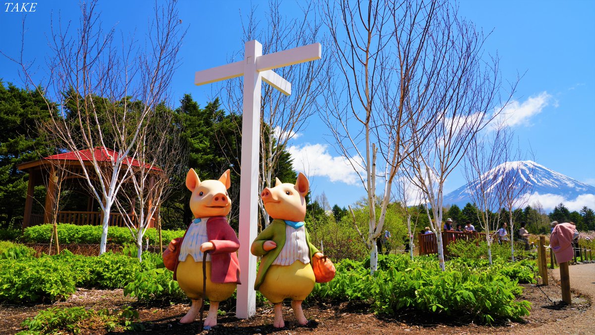 先日訪れた富士本栖湖リゾートの 富士芝桜まつりの会場内に 英国式庭園も開園しており ピーターラビットの様々な キャラクターが飾られていて とても可愛らしかったです🗻🐿️