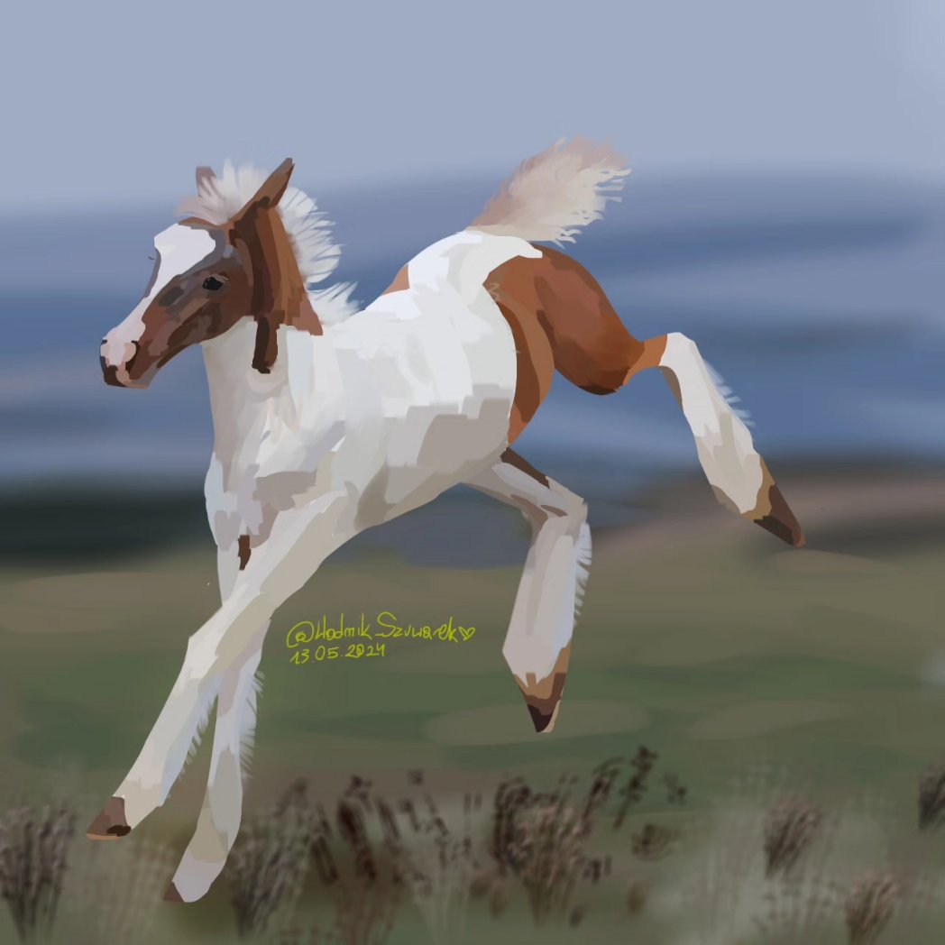 ANOTHER horse #digitalart #digital #colt #foal #horse #equine #sketch #sketchbook #sketchdaily #art #artist #ibispaintx #procreate #semirealism #doodle #oc #art #ocs #originalcharacter #digital #animal