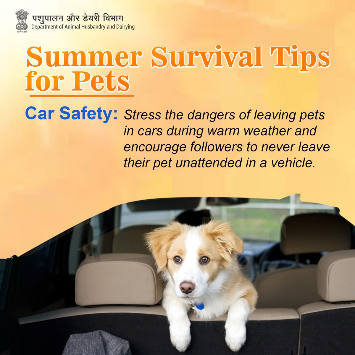 Keep pets cool, keep pets safe. Never leave them alone in a hot car. #KeepPetsCool #KeepPetsSafe #heatwaves #beattheheat
