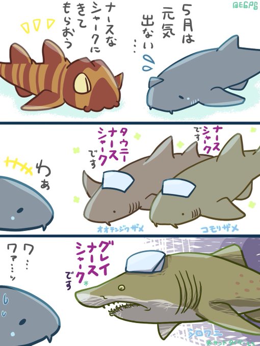 イヌザメさんとネコザメさん を含むマンガ一覧 : リツイート順