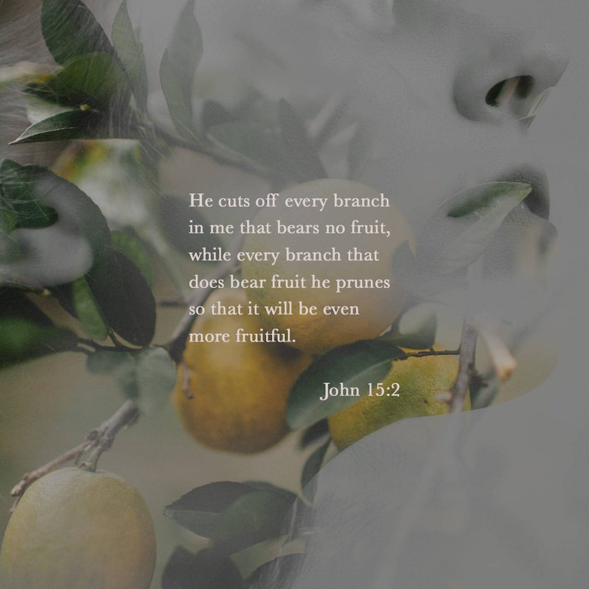 bible.com/verse-of-the-d…