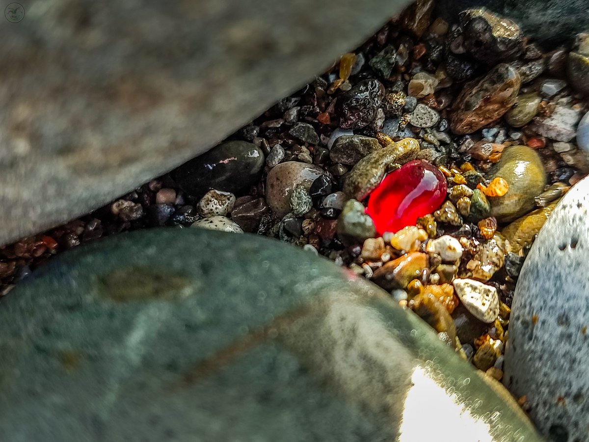 Pebbles and Glass

#landscapephotography #coast #photography #shoreline #cumbria #lakedistrict #landscapephotography #coastline #coastalliving #photographer #beach #pebbles #cumbrialife #glass