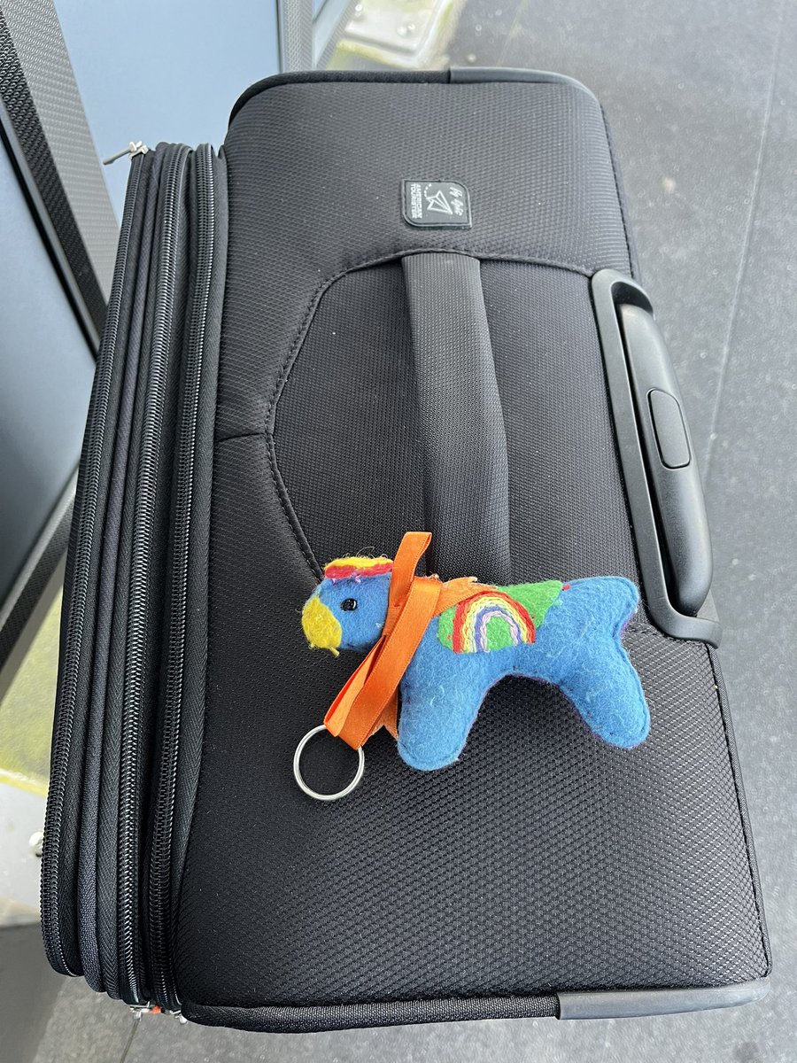 An early start for #Sybilontour as we take the train for London. Here’s hoping the 06:17 arrives 🤞 Raising awareness of #HuntingtonsDisease with #Hounds4Huntingtons @jaq421