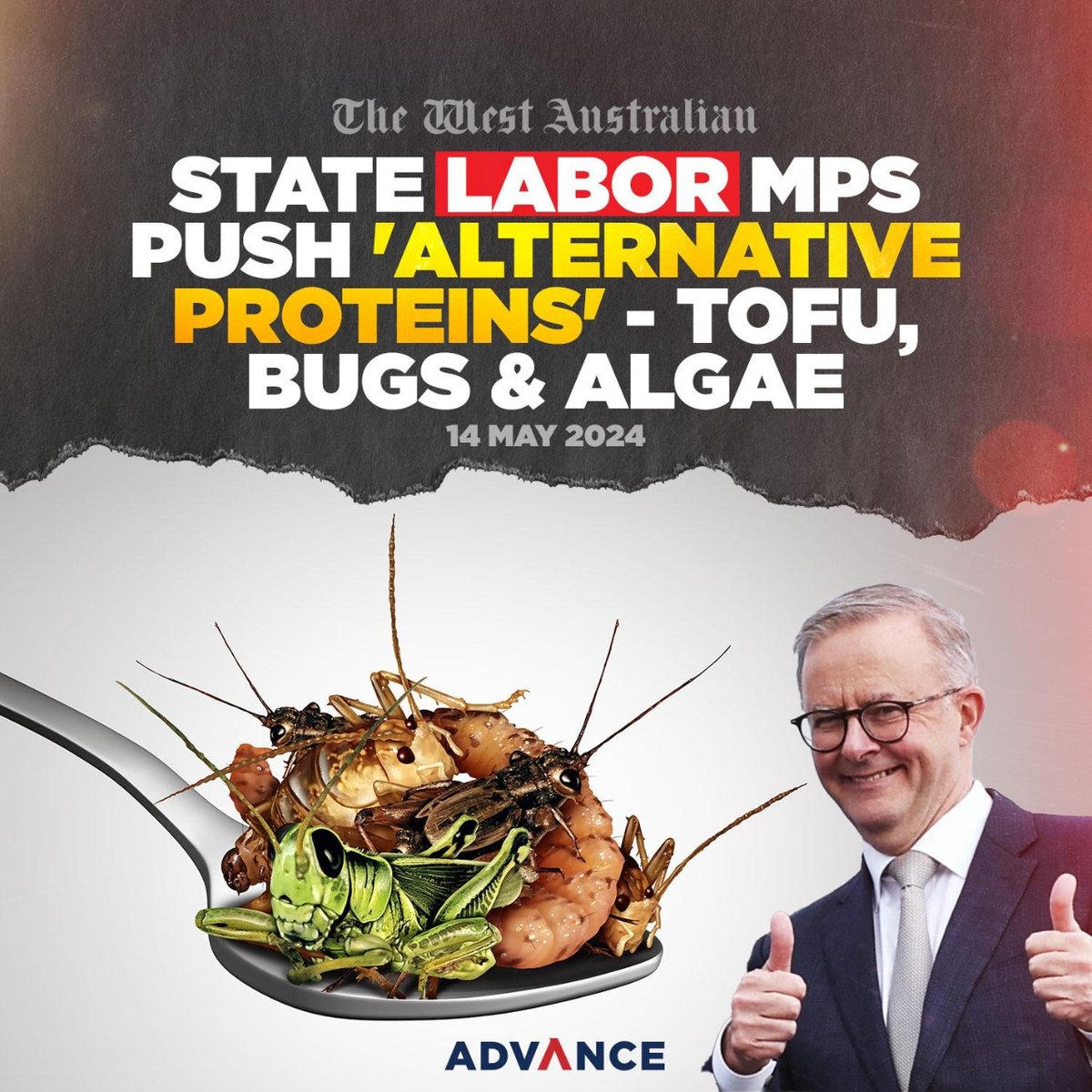 They actually want you to eat bugs to save the planet 🦗 'Five WA Labor MPs recommended the Government provide more support for“alternative proteins” — such as tofu, insects and algae — just two days before it was confirmed live sheep exports would be banned from 2028.'