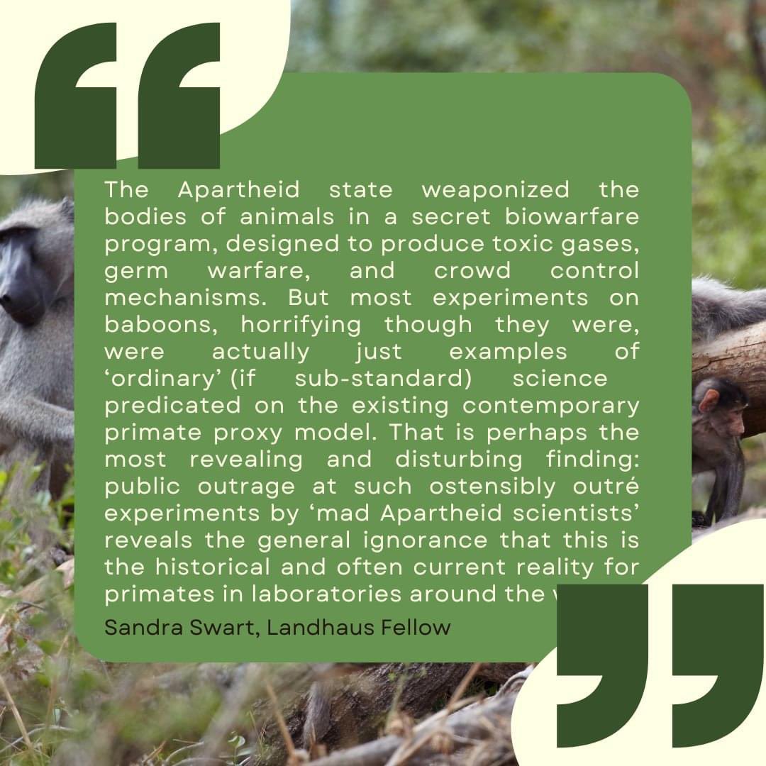 In today's 𝘊𝘳𝘪𝘵𝘪𝘤𝘢𝘭 𝘊𝘰𝘯𝘤𝘦𝘱𝘵, Landhaus Fellow Sandra Swart introduces the concept of 'Apartheid’s Baboons' shedding light on the Apartheid state's disturbing manipulation of animals for covert biowarfare purposes. #rcccriticalconcepts #rcc##apartheid #baboons #lmu