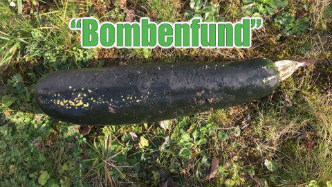 ドイツのブレッテンで、81歳の男性が『庭に不発弾を見つけた』と通報。 駆け付けた警察官は庭で重さ5キロ、長さ40センチのズッキーニを発見。