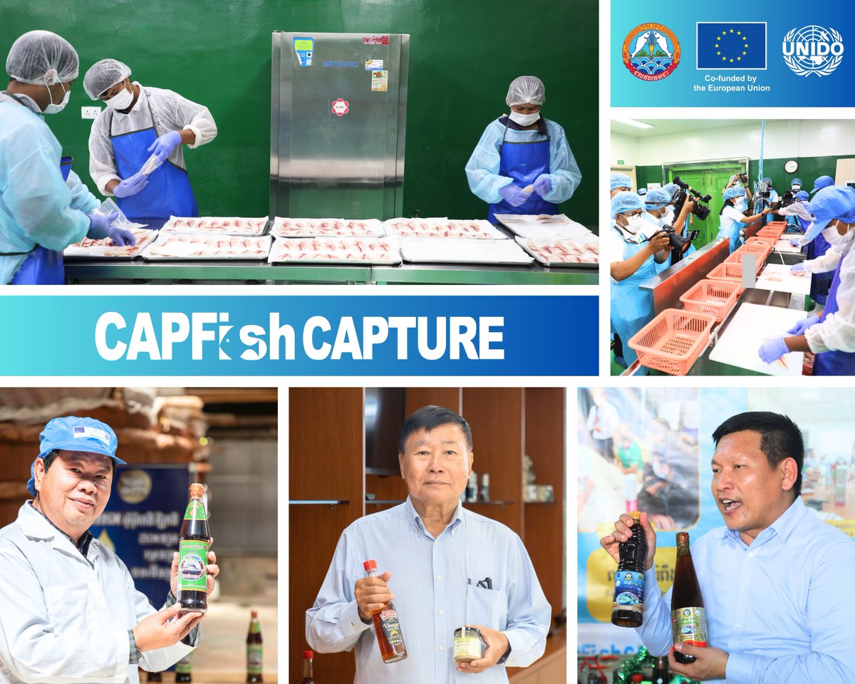 🐟🌍 We aim to bring 🇰🇭's finest fishery products to Europe! 🇰🇭✈️

We're supporting 4⃣ selected fishery enterprises as they target the #EU markets, working on establishing the HACCP system and piloting a digital traceability system. It's all part of the EU-funded CAPFISH-Capture.