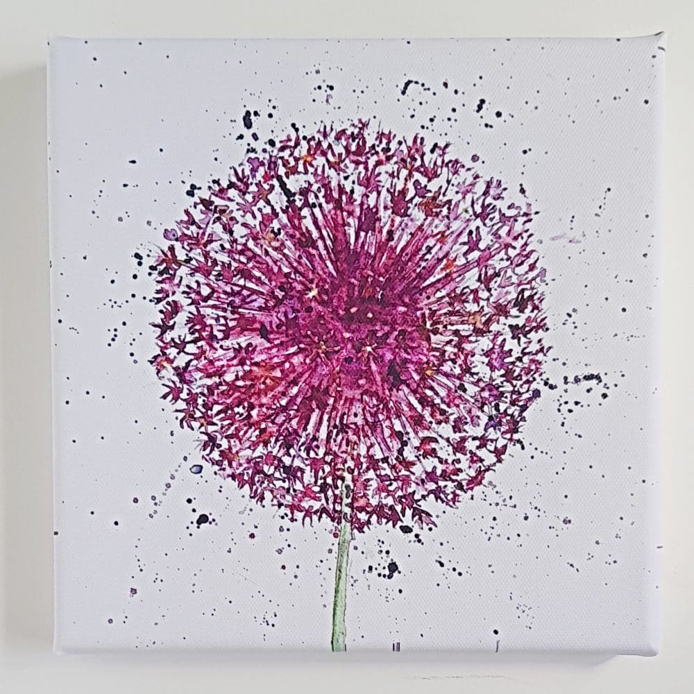 #floralart Allium It is that glorious time of year when the Alliums are flowering again. Keep one for longer with this Allium Art Canvas Print Available via link below ⬇️ #EarlyBiz #MHHSBD