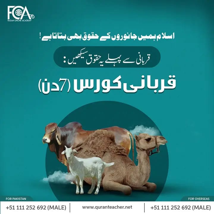 قربانی سے پہلے جانوروں کے  حقوق سیکھو