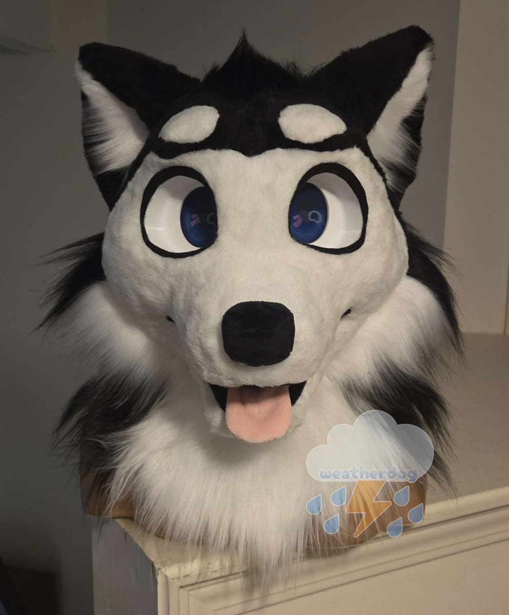 @heckhoundzstudi me i'm a female maker!! these were my first three heads!! all my info and socials can be found through linktr.ee/weatherdog