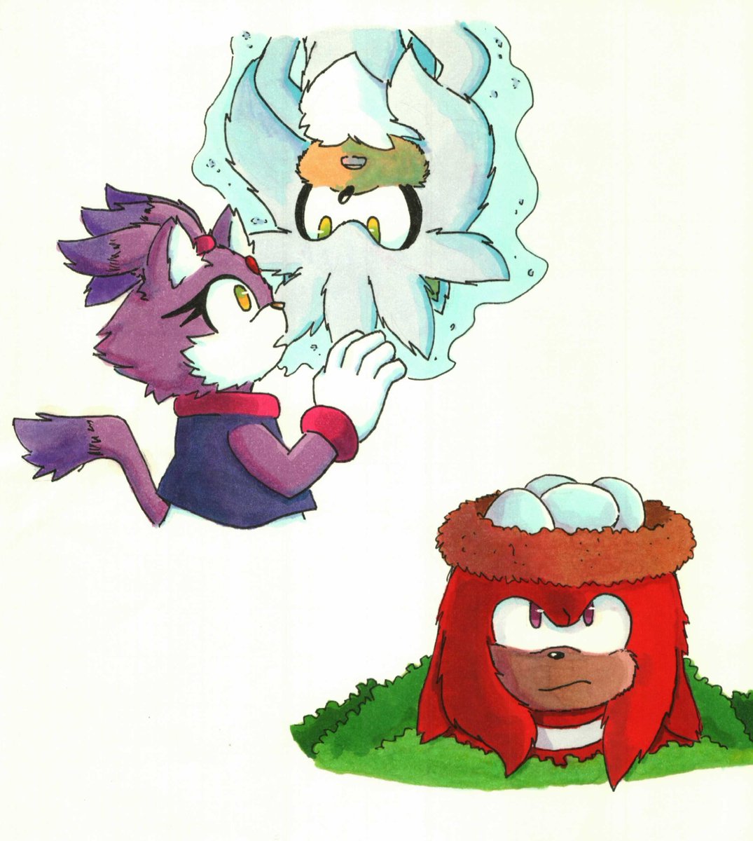 #blazethecat #sliverthehedgehog #knucklestheechidna #sonicfanart #sonicthehedgehog