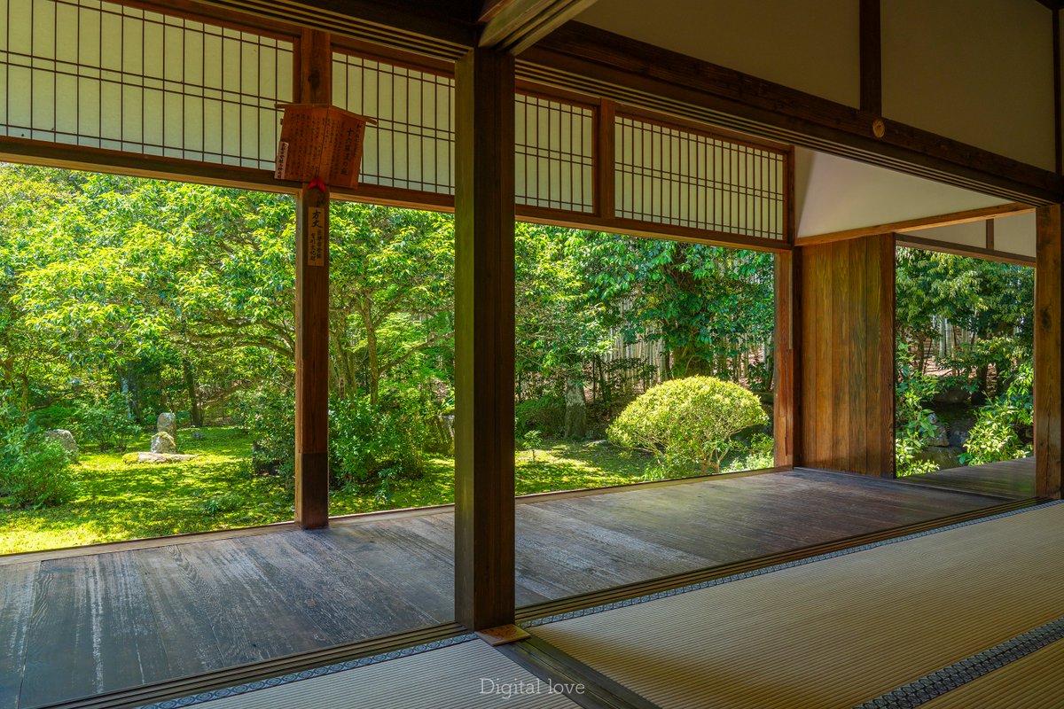 新緑が美しい京都 地蔵院（竹寺）
2024.05.14

#京都 #寺社仏閣 #新緑