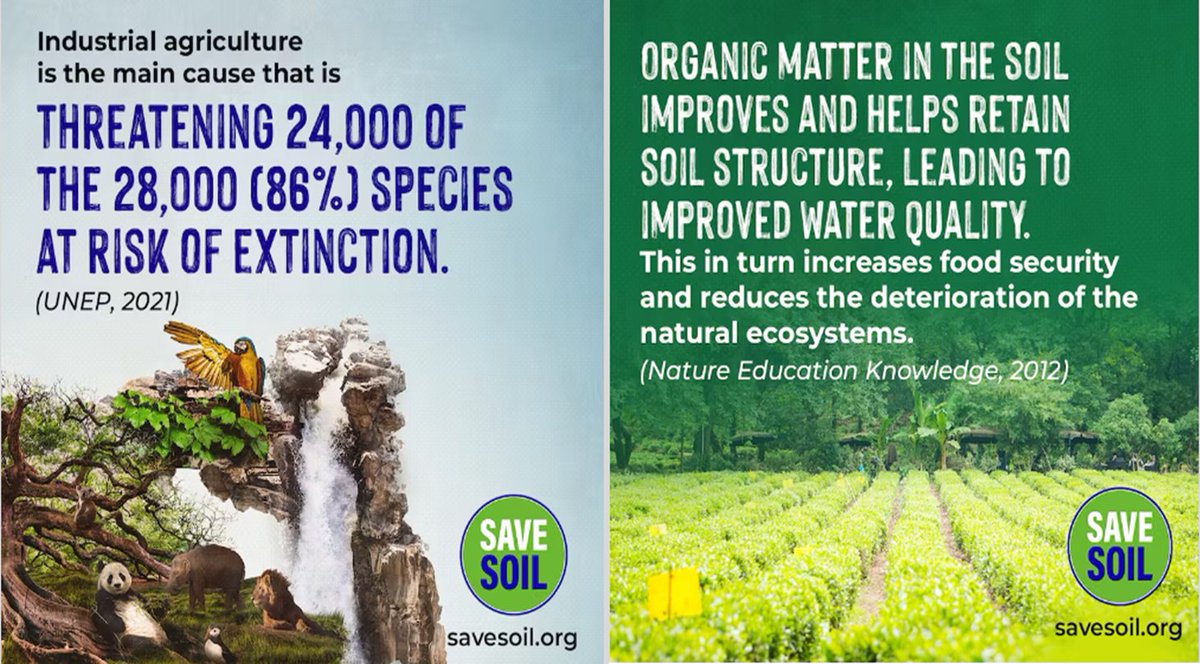 Every year up to 40 percent of food crops is lost to plant pests and diseases. These losses in both yields and income have a devastating effect on the poorest communities who base their livelihoods on agriculture-FAO
#cpsavesoil #SaveSoilFixClimateChange #SoilForClimateAction