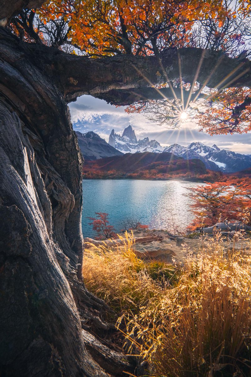 'Stunning view of Mt. Fitz Roy in Patagonia!'