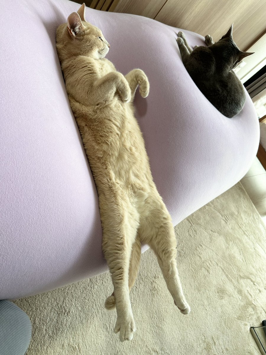 中におじさん入ってないよね？