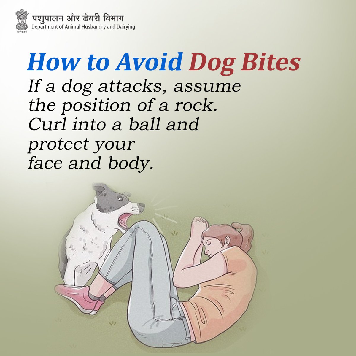 Stay safe: If attacked, become a rock—curl up and shield yourself. #DogSafety #PreventRabies #VaccinateNow