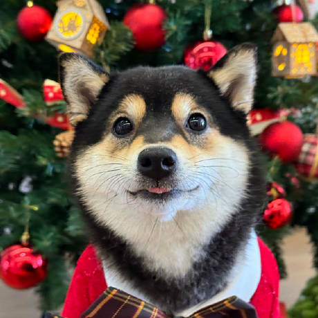 🎉 The wait is over! $manyu is officially live! 

Get in early and watch your investment soar! 🌕🐶

#LittleManyu #Manyu #SOL #ToTheMoon #ELONMUSK #DOGE #SHIBA #Gateio #LBANK #OKX #Binance #MEXC #Aveai