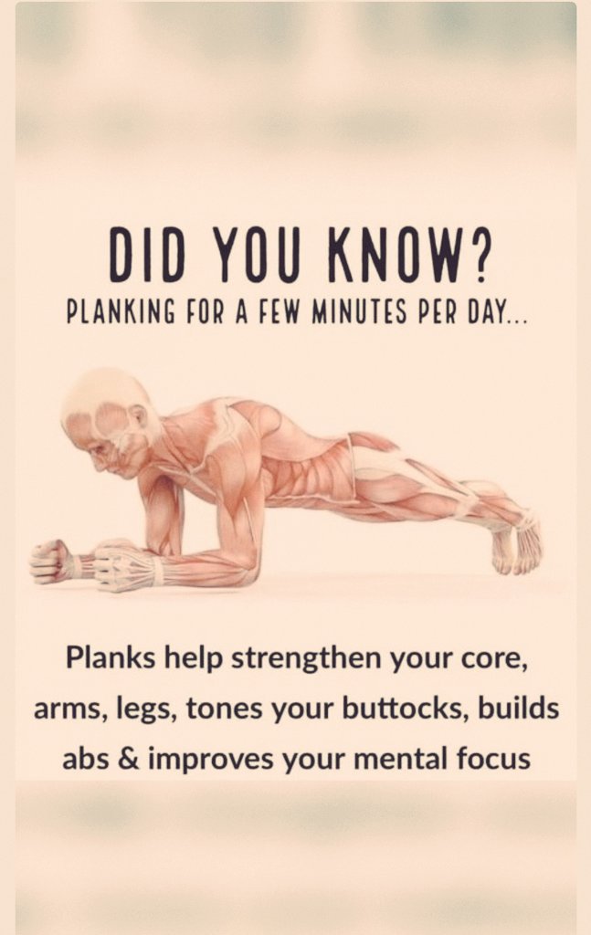 5 Most Effective Exercises 1. Plank