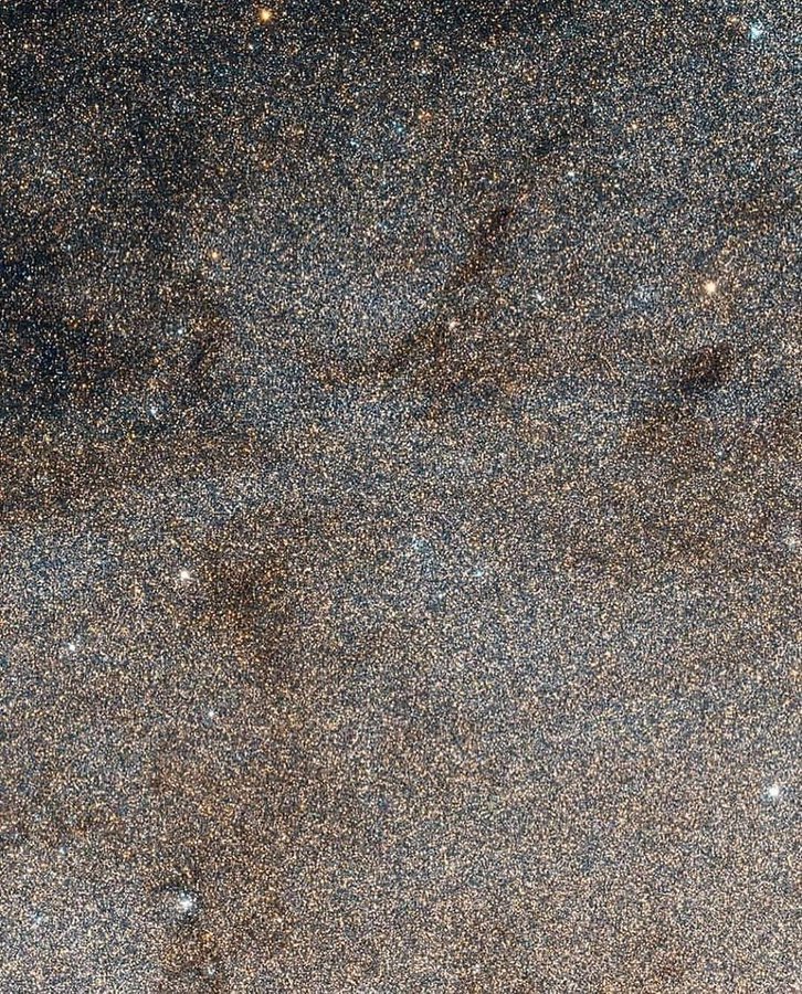 This is what a very small portion of the Andromeda Galaxy looks like. Yes, almost 2 billion stars.
Credit: NASA
