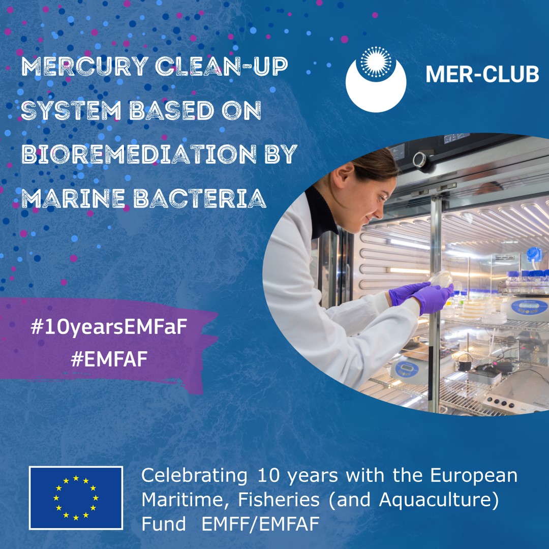 ✨  We are proud to contribute to a more sustainable #blueeconomy in Europe, thanks to the EU #EMFF funding.

@mer_club was a great example. 

 🎂Happy #10yearsEMFaF!!!

@cinea_eu