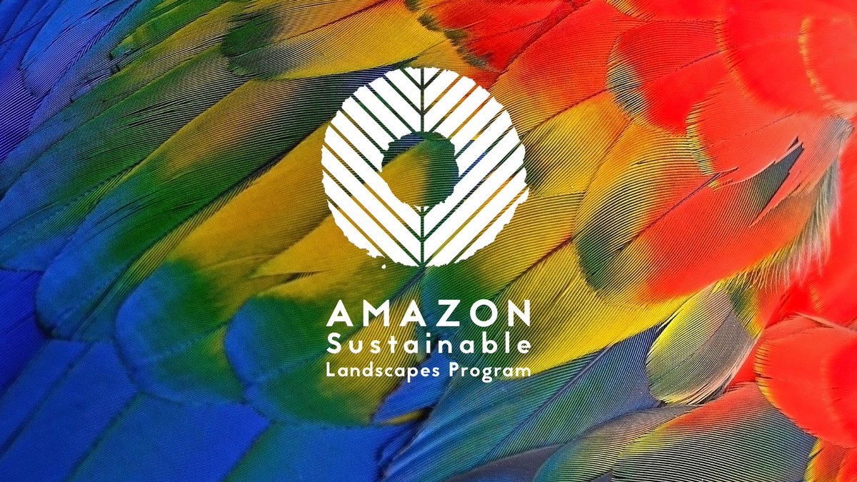The #AmazonSustainableLandscapes Program is making a difference in the region. 🌎🌳

Supported by <a href="/theGEF/">Global Environment Facility (GEF)</a>, it aims to improve integrated landscape management and ecosystem conservation in priority areas of the Amazon. 
Learn more: wrld.bg/sUoi50Rv20H