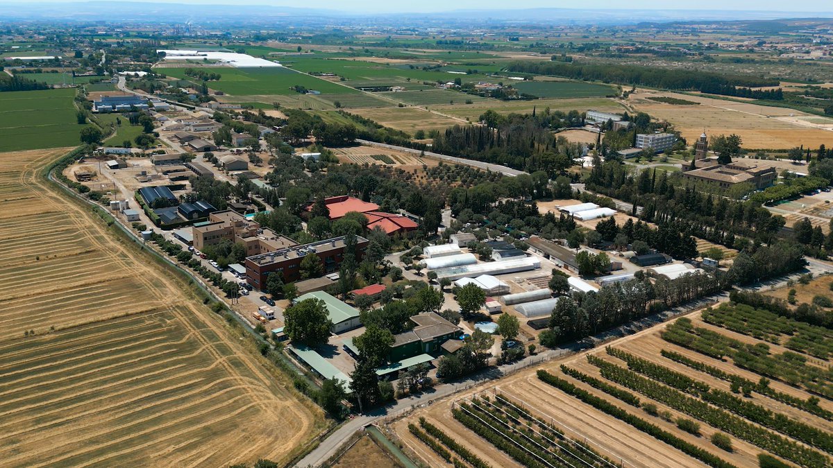 Hoy celebramos #SanIsidro en todos los centros del Campus Aula Dei. 😀Felicitamos a todo el sector agrario, agricultores, técnicos, personal investigador. #investigación #transferencia #Aragón #ciencia #agroalimentación #campusauladei @GobAragon