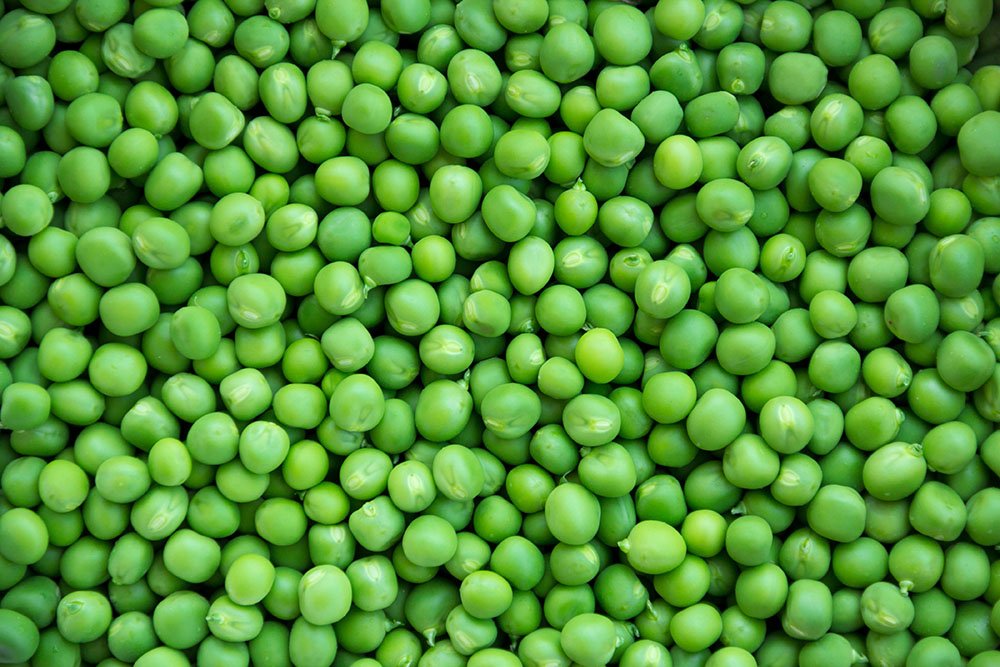 A farmer from @GicumbiDistrict , Byumba sector has 1000 Kg of peas ready for sale at 2000 Rwf/kg. buy from a farmer today by visiting ehaho.rw/products/enpea… or call us at +250786506040