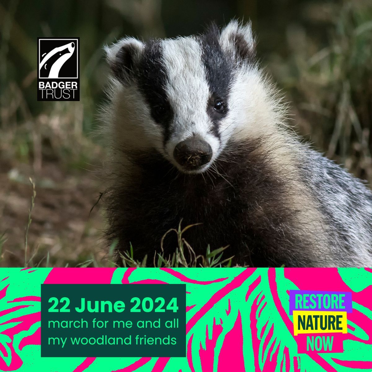 The list of those marching on 22 June to #RestoreNatureNow is growing, with 150+ groups & 1000s of people already signed up📢 Everyone is welcome to help us send a clear message to politicians – we want more action for nature🌱 Read more & sign up👇 buff.ly/49KTQL2