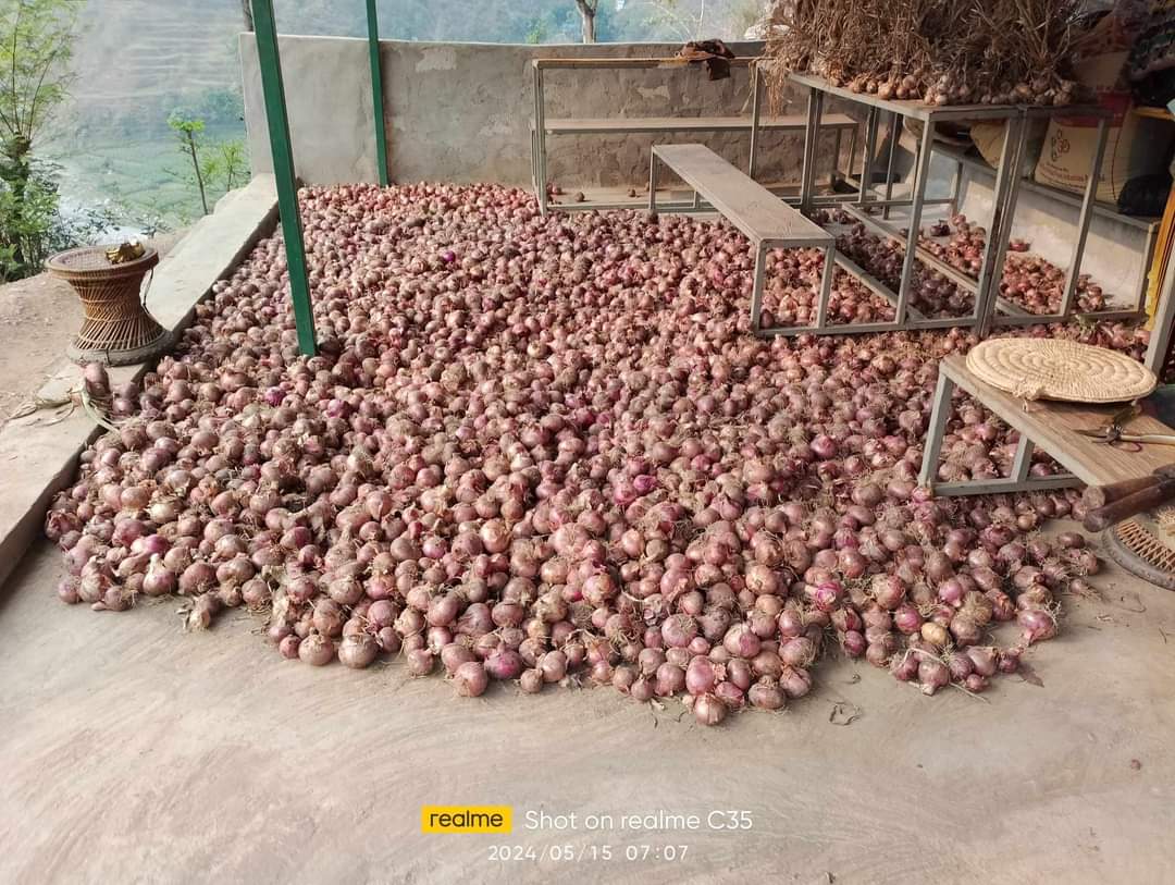 सिन्धुलीको प्याज चाहिएमा सम्पर्क गर्नुहोला । 
प्रेम ब सुनुवार 9849121583
झलक पहाडी  9844009592
डम्बर थापा  9864024347
मकुन्द पहाडी  9840704879