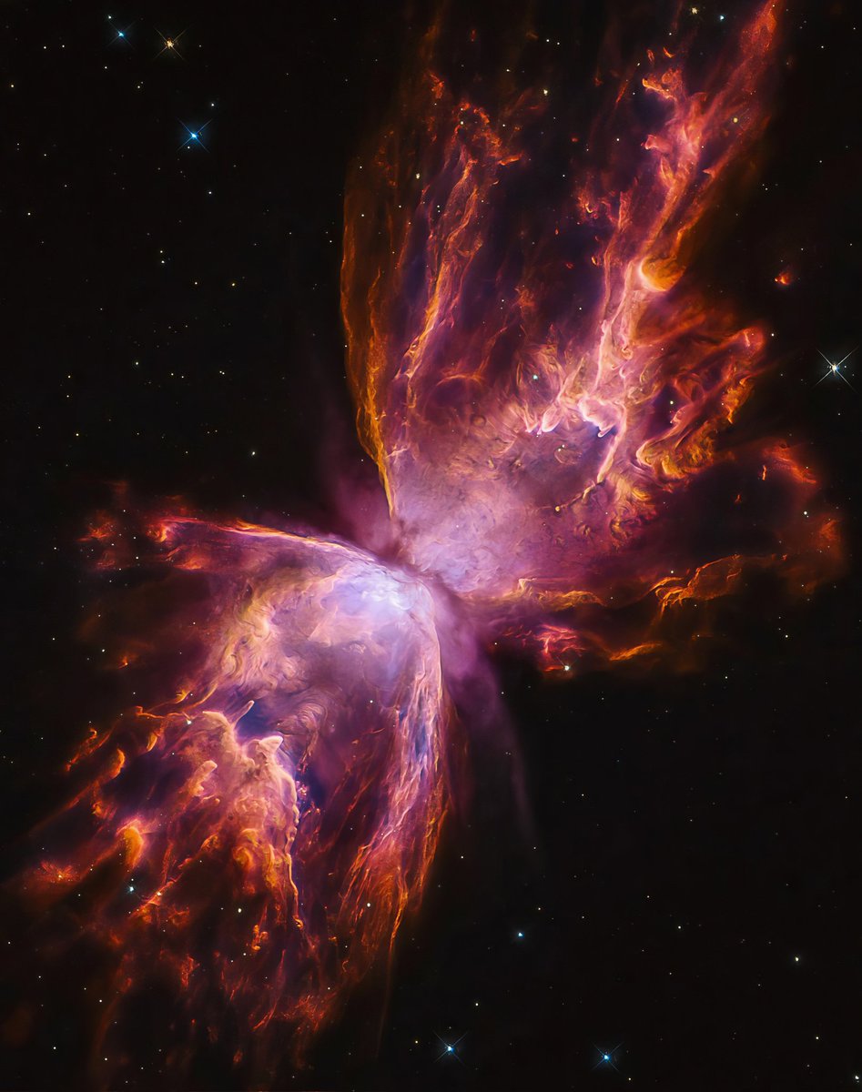 The Butterfly Nebula..
