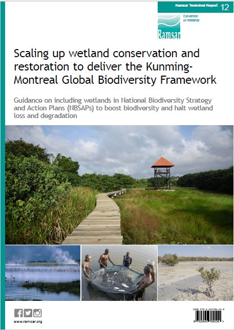 Are you developing a National Biodiversity Strategy and Action Plan (NBSAP)? Are you trying to reverse the loss and degradation of #wetlands? This new guide from @RamsarConv funded by @WetlandsInt that we contributed to will help, with info on actions, indicators, monitoring etc