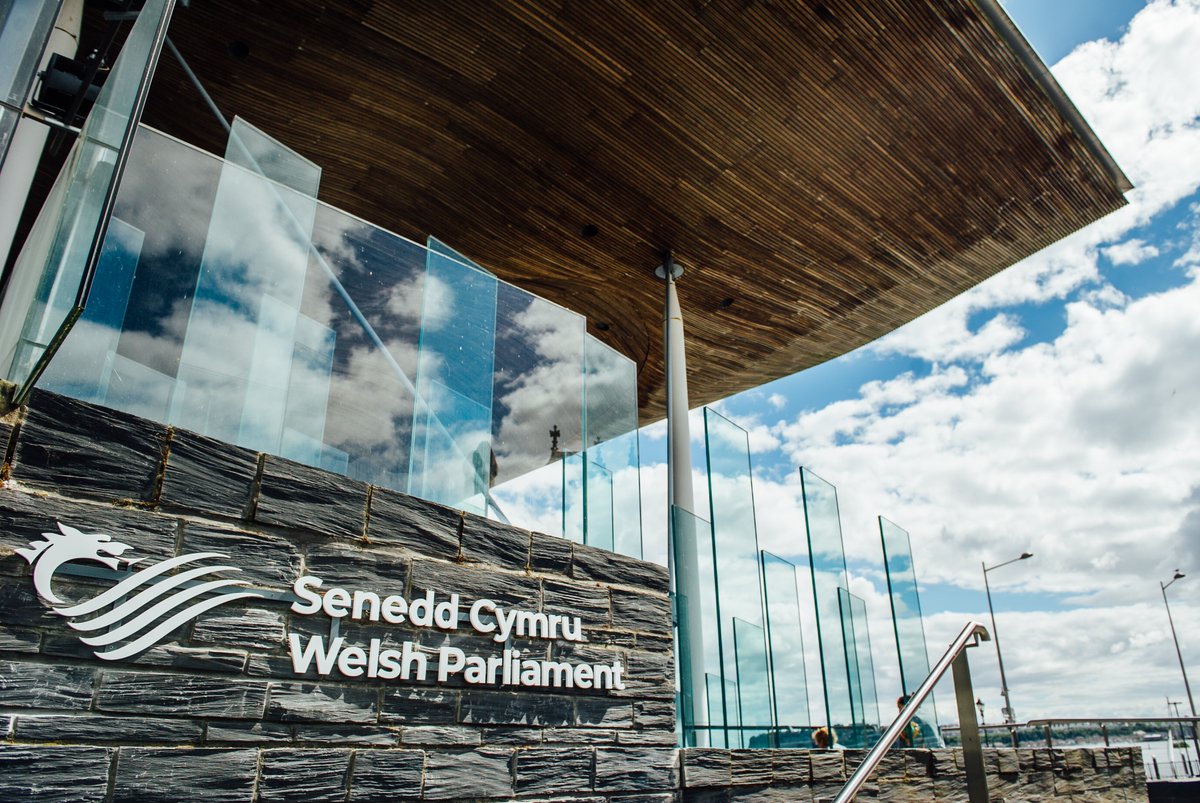 Today MSs will be debating the control of tobacco and nicotine products, GP practices and funding, and @seneddhealth's report on women's journeys through gynaecological cancer. Find out more: bit.ly/3WBH9iM