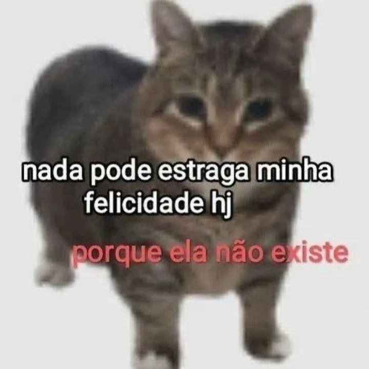 teu caos (@sobreteucaos) on Twitter photo 