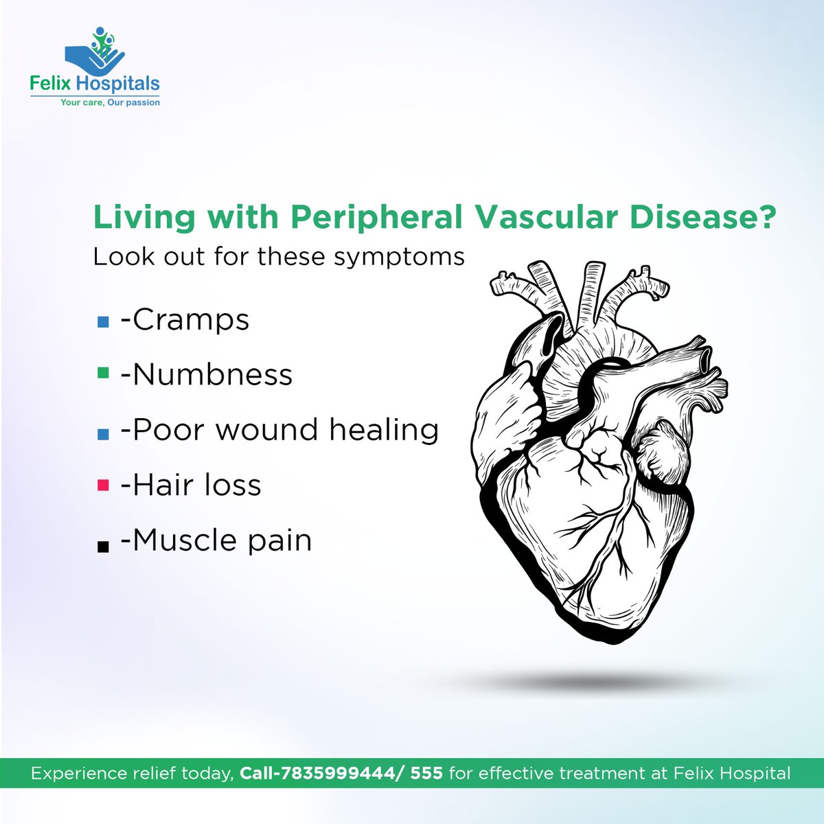 Feeling discomfort in your limbs? 🚶‍♂️🦵 It could be Peripheral Vascular Disease. Don’t worry! Felix Hospital is here to help. 🏥💪 Experience relief with our proven treatments. Start your wellness journey at #FelixHospital. 🌟 #hearthealth #exploremore #heartbeat #heart #noida