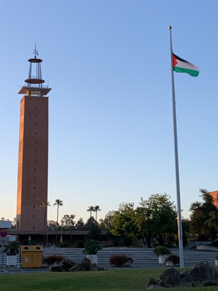 PalestinaUPO's tweet photo. Así amanece la UPO 🇵🇸✊🏽 https://t.co/M97WZ0EeWk