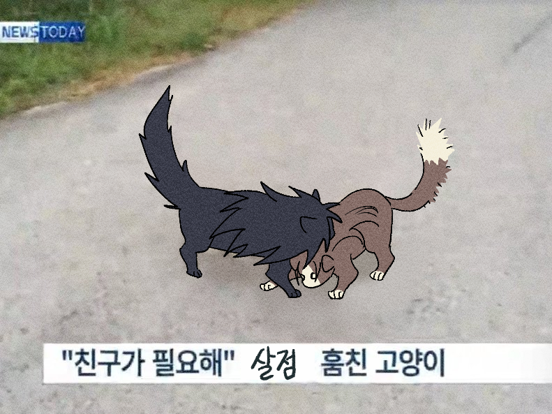 QT3759's tweet photo. 마다라냥과 하시라마 https://t.co/krUd4tEP2w