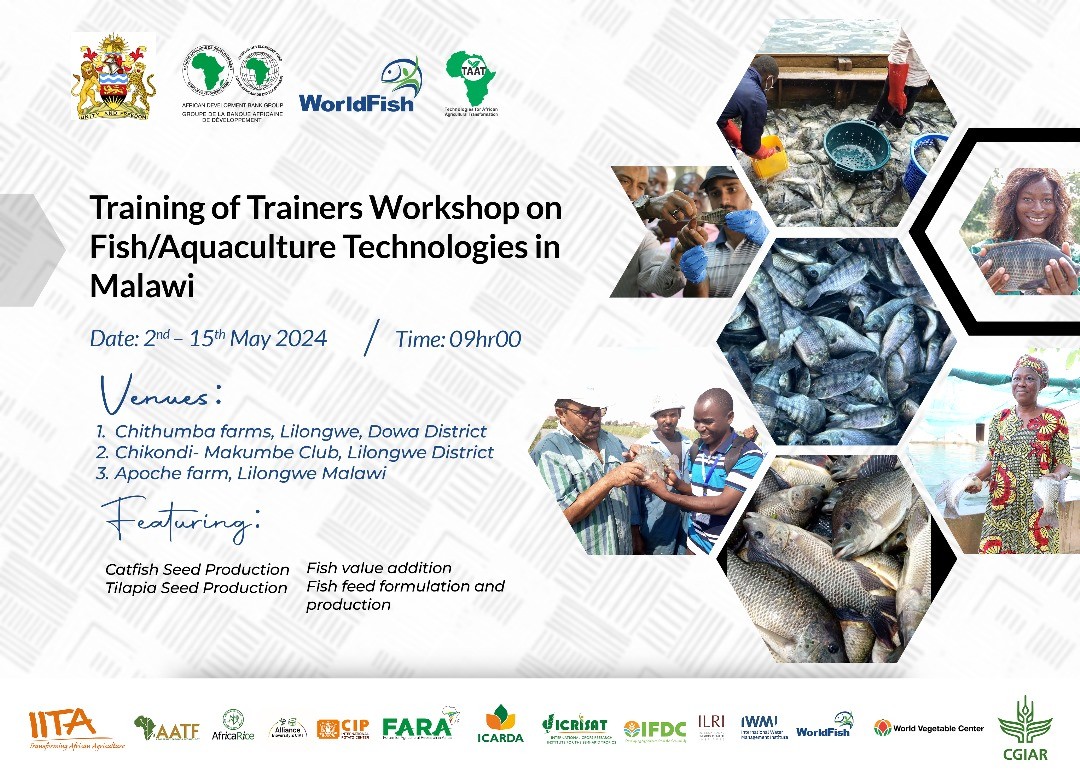 🌍#TAATinMalawi is concluding a two-week immersive 🐟 training program for trainers, generously facilitated by the #TAATFish Compact, spearheaded by @WorldFishCenter under the guidance of Prof Bernadette Tosan Fregene.
#Aquaculture #CapacityBuilding #Fisheries #Training #Malawi