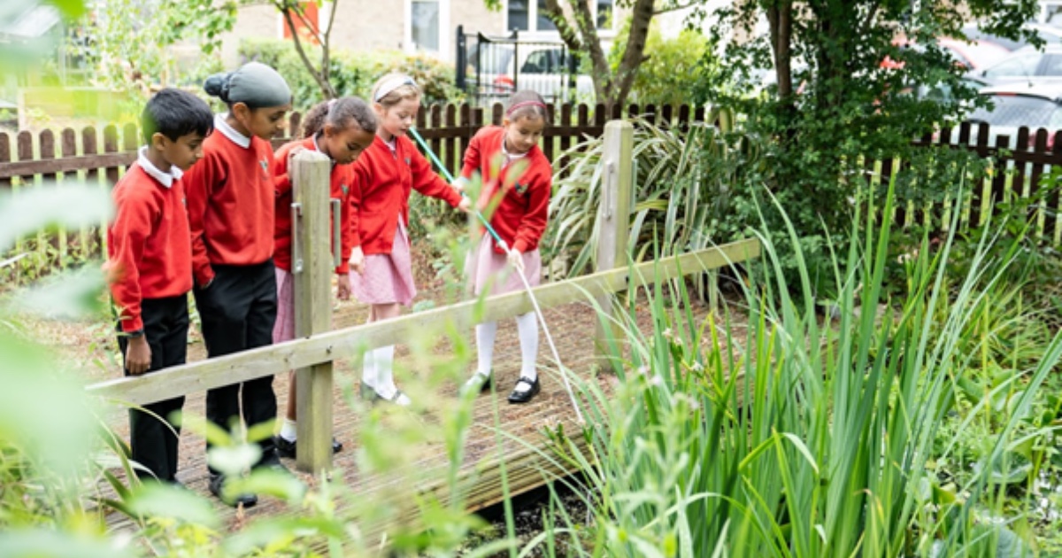 🌱🏫 #LetsGoZero school Little Chalfont Primary School is leading with their allotment gardens to solar panels ☀️🌳 So far they've: 💡 Installed LED lighting throughout the school ♻️ Set up an active Eco-Council Follow their sustainability journey: bit.ly/3wuGPrk