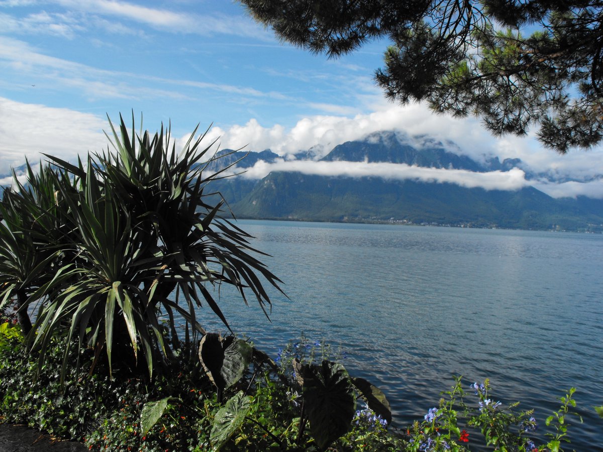 'Życie nie jest koniecznością - podróżowanie tak...' ☀️⛵️❤️🌍

Dziś jesteśmy  w Montreux - tu, nad jeziorem, powstał kultowy utwór 'Smoke on the Water' grupy 'Deep Purple'  🌊💨 🔥 🎸
        
#Montreux #travelphotography #Switzerland #Albumpodrozy #lakes #DeepPurple 
📷(my)🇨🇭
